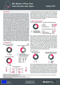 NGA_Factsheet_New Arrivals Assessment_Pulka town_October 2018