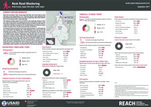 SSD_Factsheet_Road Monitoring Renk_September 2017