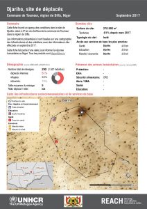 NER_Factsheet_Profil Site de Déplacés de Djariho_Septembre 2017