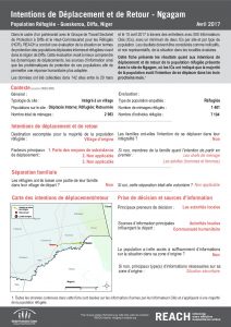 NER_Factsheet_Evaluation Protection, Intentions de Déplacement et de Retour, Ngagam, Réfugiés_Avril 2017