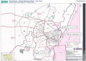 SSD_Map_Juba_Stm_ActivitiesByPartnersWeek29_19July2015_A3L