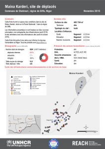 NER_Factsheet_Displacement Site Maina Karderi_Novembre2016