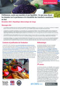 REACH - RDC - Etude de la pertinence et faisabilité des transferts monétaires en Ituri (Novembre 2025)