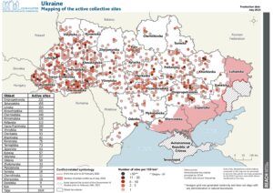 REACH, Ukraine, IDP Collective Site Monitoring, Map, Active Sites, July 2024