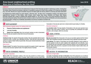 BRA_Area Profile_Factsheet_Pintolandia_Round1_June2018