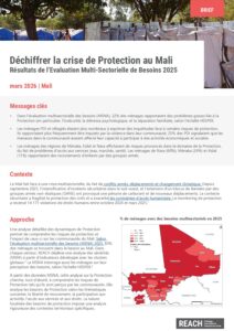 REACH Mali MSNA 2025 Analyse Protection