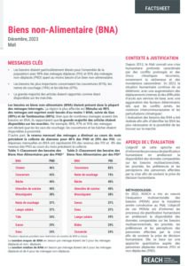 REACH_MLI_MSNA BNA Factsheet_2023