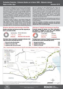 NER_Factsheet_Violences Basées sur le Genre PDI_ Novembre 2018