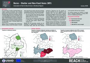 Hard-to-Reach Shelter/NFI in Borno State, Nigeria, January 2020