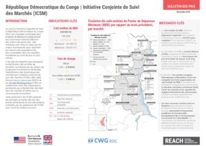 REACH - RDC - ICSM - Factsheet Décembre 2025