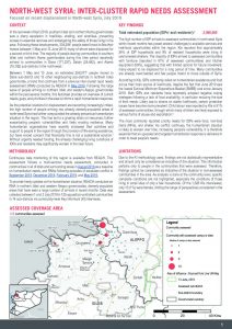 SYR_Factsheet_Northwest Syria Intercluster RNA_July 2019