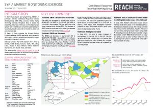 syr_situation_overview_market_monitoring_exercise_ne_june_2019