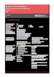 REACH_MLI_ToRs_RRMResearchCycle_20190807