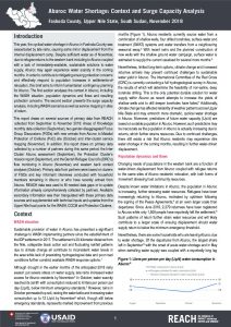 SSD_Brief_Aburoc Context and Surge Capacity Analysis_November 2018
