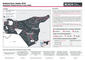 SYR_Factsheet_HSOS Regional Factsheet_NES_October2018