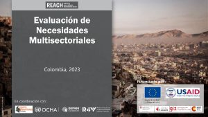 REACH COL PPT MSNA/6ta ronda 2022 Resultados Agregados OCHA