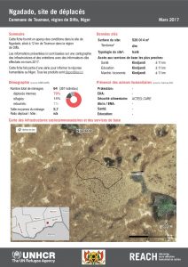 NER_HCR_Factsheet_Profil Site de Déplacés_Commune de Toumour_Ngadado_Mars 2017.pdf