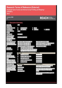 SYR NES Camp Profiling TOR January 2020