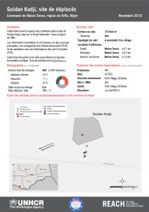 NER_Factsheet_Displacement Site Guidan Kadji_Novembre2016