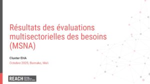 REACH Mali MSNA 2025 Présentation EHA