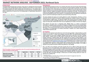 REACH SYR Factsheet MNA NES September 2021
