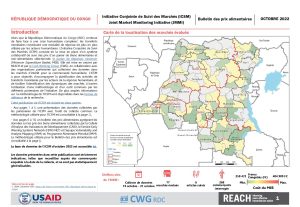 REACH RDC ICSM Factsheet Octobre 2022