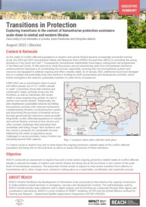 IMPACT_UKR_Executive summary_Transitions in protection_September 2025