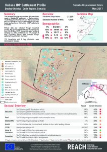 SOM_Factsheet_IDPSettlementProfile_Kabasa_May2017