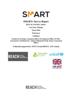 REACHETH_Arsi_SMART+_Final_Report