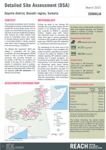 REACH SOM Factsheet DSA Daynile March 2021