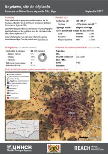 NER_Factsheet_Profil Site de Déplacés de Kayetawa_Septembre 2017