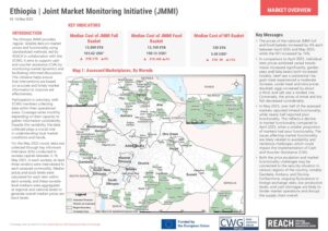 REACH Ethiopia - JMMI Factsheet - May 2025