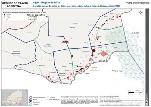 NIGER - Besoins Biens Non Alimentaires, juin 2017