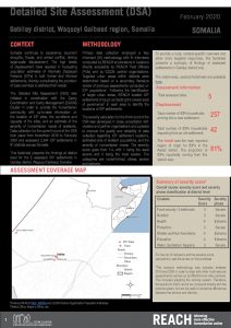 Detailed Site Assessment, Gebiley - Febrauary 2020
