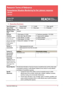 IMPACT Lebanon - Humanitarian Situation Monitoring (HSM) - October 2024 - Terms of Reference