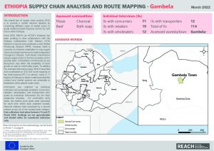 ETH_REACH_SCA_regional_Gambela