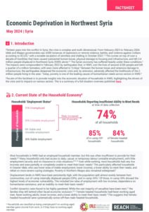 REACH Syria Economic Deprivation in Northwest Syria Summary Report May 2024