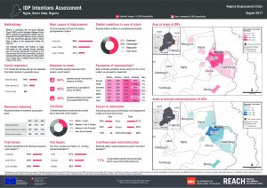 NGA_Factsheet_IDP Intentions Assessment - Ngala LGA_August 2017