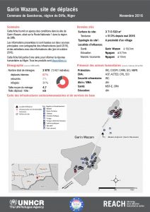 NER_Factsheet_Displacement Site Garin Wazam_Novembre2016
