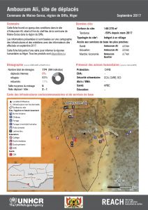 NER_Factsheet_Profil Site de Déplacés de Ambouram Ali_Septembre 2017