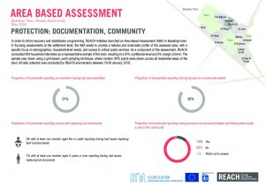 reach_irq_sector_factsheets_area_based_assessment_baashiqa_protection