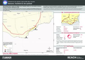NER_Factsheet_Displacement Site Guessere_Juin2016