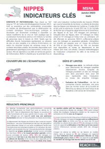 Evaluation multisectorielle des besoins (MSNA) 2022 - Résultats-clés - Département Nippes