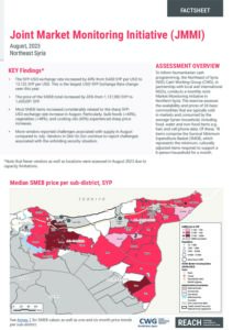 REACH Syria, Northeast Factsheet JMMI August 2023