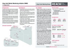 LBY_Situation Overview_Joint Market Monitoring Initiative (JMMI)_March_2019
