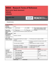 REACH Lebanon - MSNA ToR - 2026