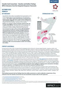 IMPACT_SOM_Factsheet_Integrated Response Framework-Baseline-Endline_Nov-2025