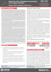 Focus sur l'impact des chocs climatiques et sécuritaires sur le secteur maraicher dans la commune de Ouahigouya, région du Nord