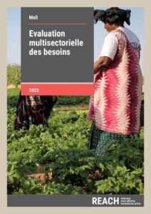 REACH Mali MSNA Report 2023