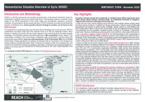 Humanitarian Situation Overview Factsheet Northeast Syria – November 2020
